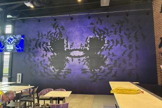 NGI installed this wall wrap in the Baltimore Ravens Stadium