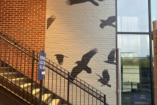 Progress photo of rough wall graphics being installed